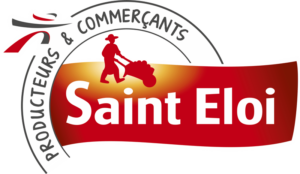 logo-steloi-300x174